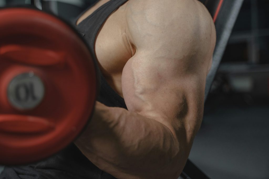 Muscle Growth Protein: How Pumpkin Seeds Outperform Traditional Sources and Transform Your Fitness Results muscle growth protein