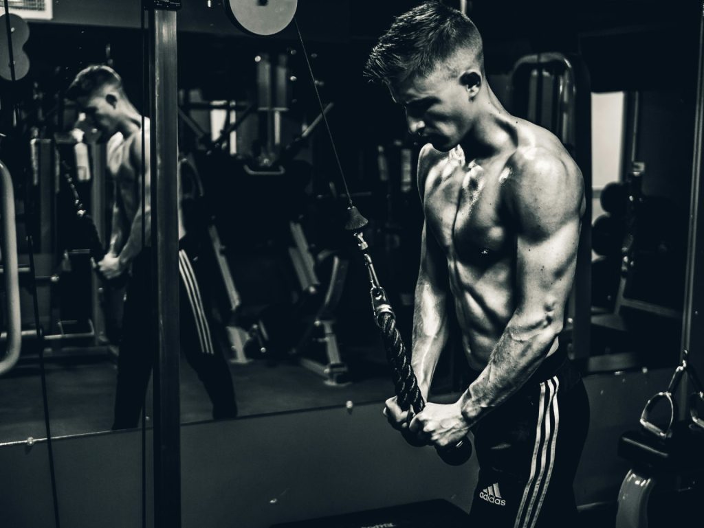Best Triceps Exercises