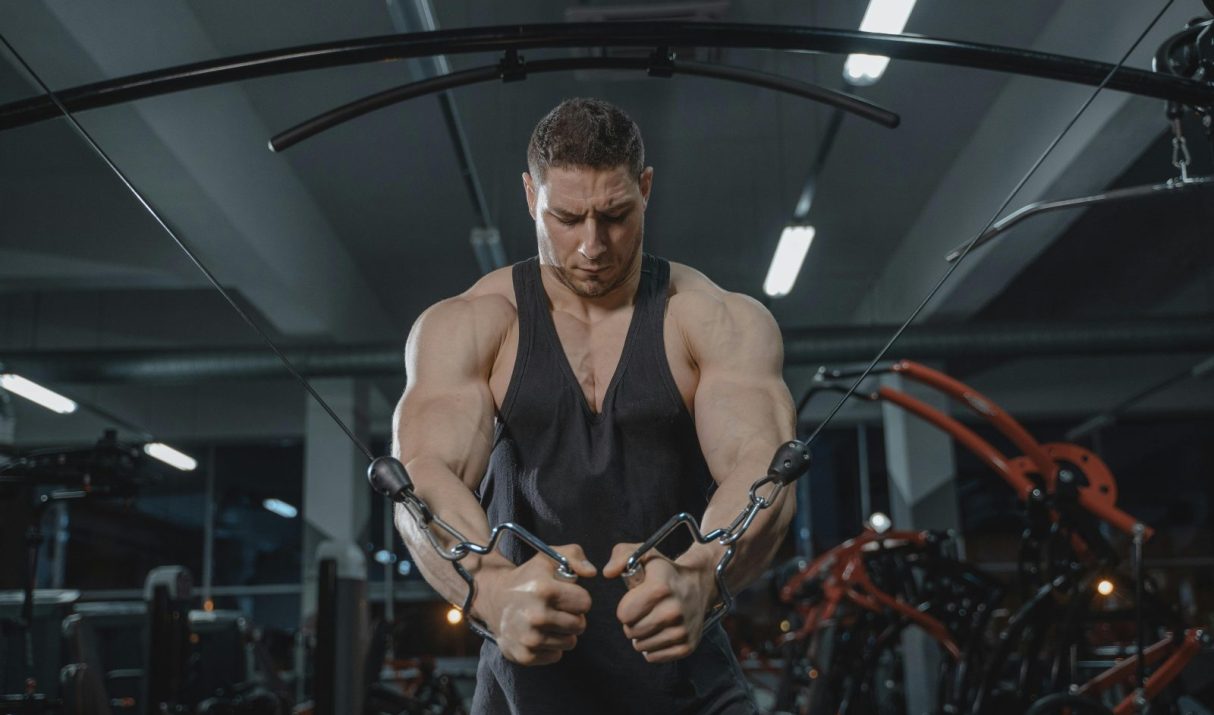 how i build muscle fast: 10 Positive, Proven Rules That Make Growth Inevitable