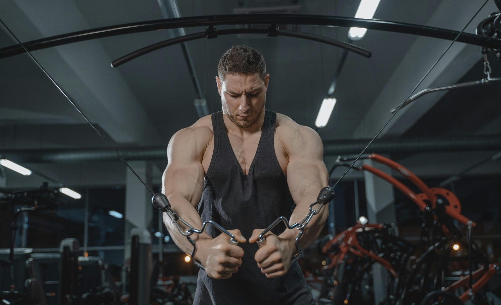how i build muscle fast: 10 Positive, Proven Rules That Make Growth Inevitable how i build muscle fast